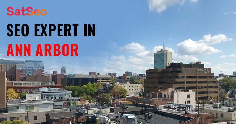 SEO Services in Ann Arbor