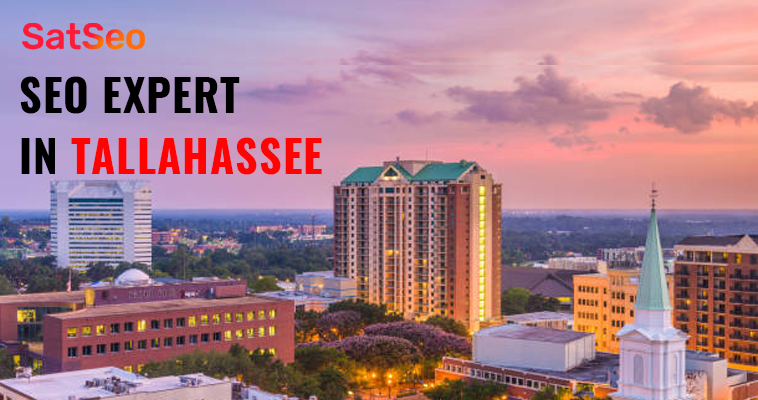 SEO Services in Tallahassee