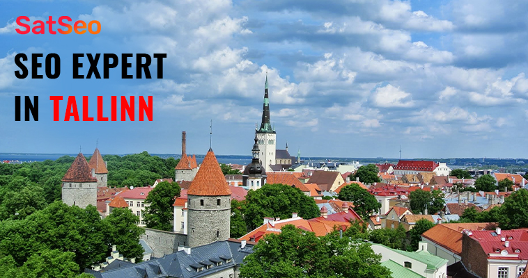 SEO Services in Tallinn